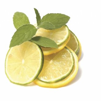 Xdaylight Vet- & Suiker Opslorper (per stuk)