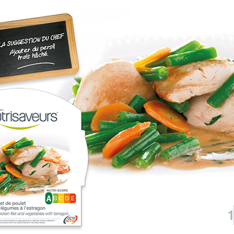 Xdaylight Plat Kip dragon