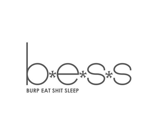 b.e.s.s.