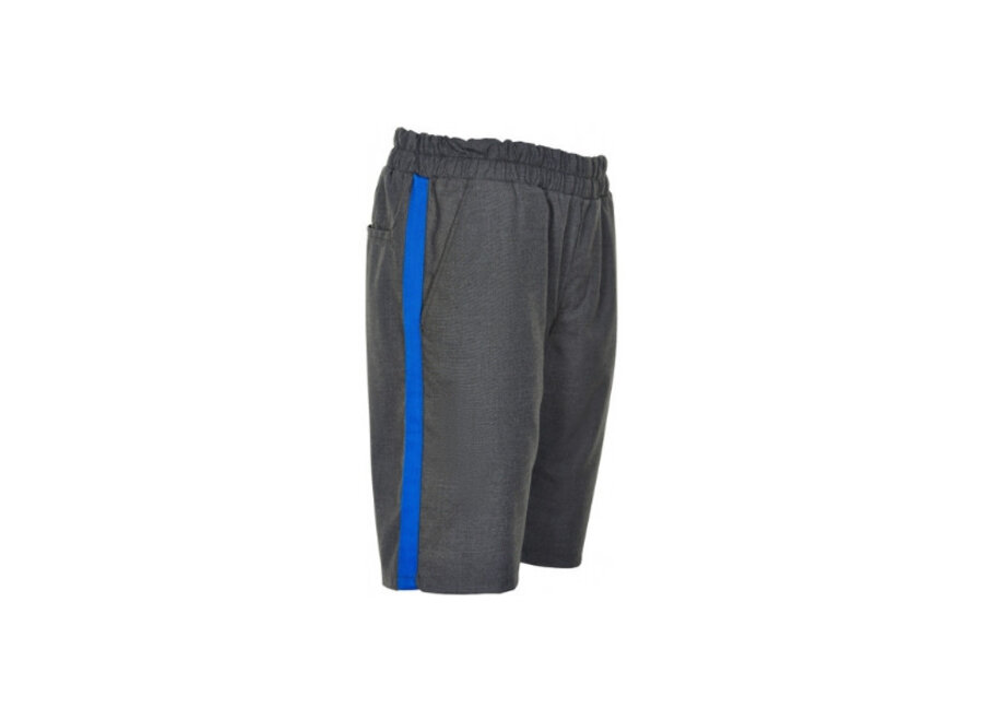 Cost:bart Short Flint