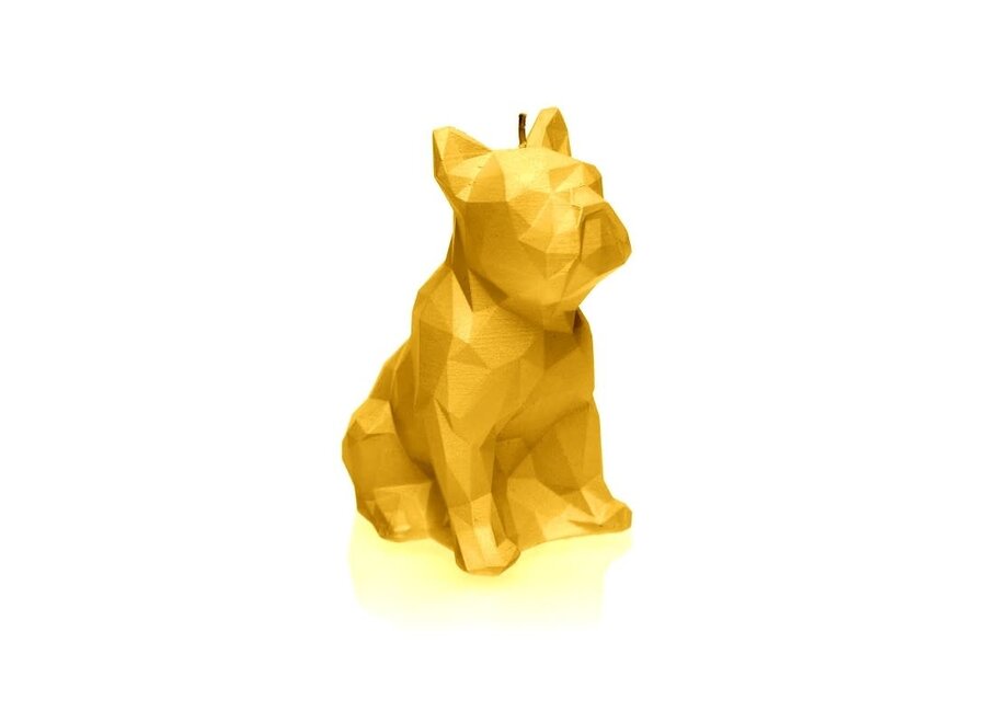 Candle bulldog low poly yellow