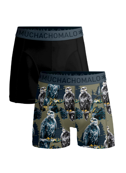 Boys 2-pack shorts Mongolian