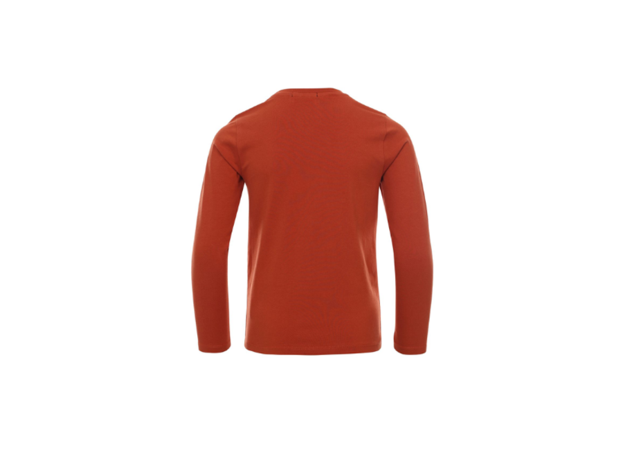 Longsleeve with print