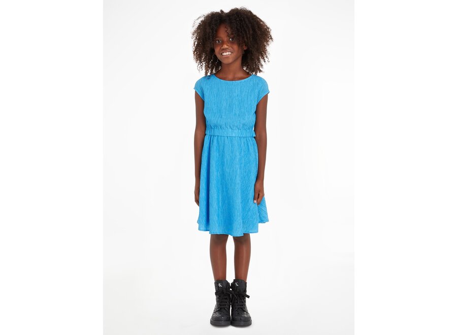 Crinkle Ss Fit Flare Dress