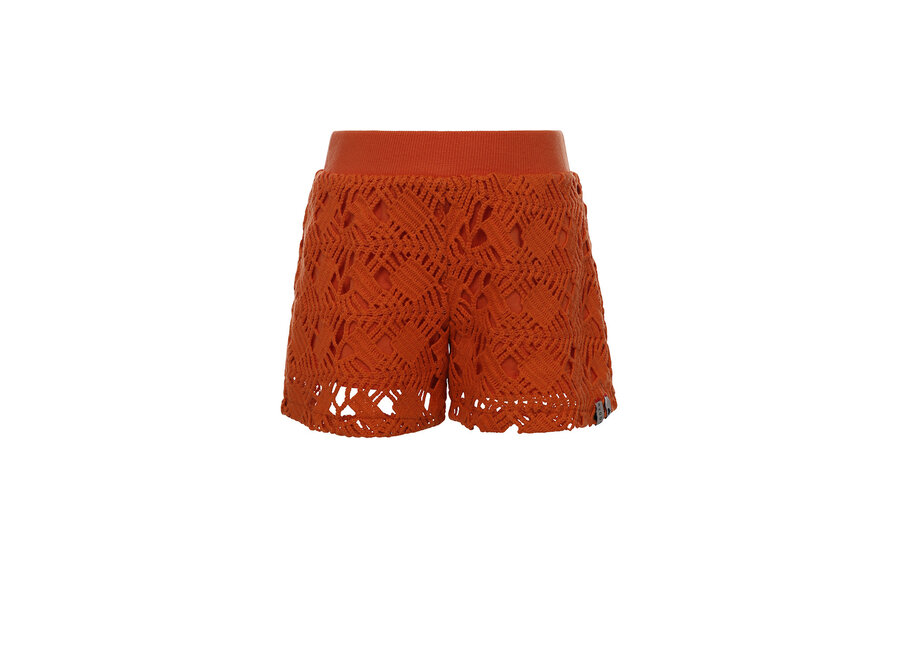 Open Lace shorts