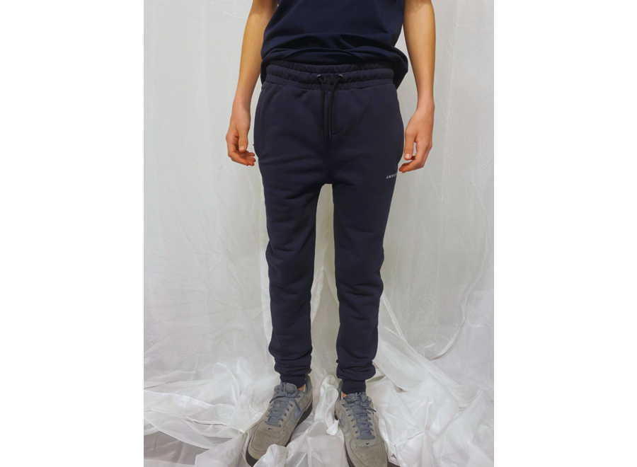 Trousers Morris Navy