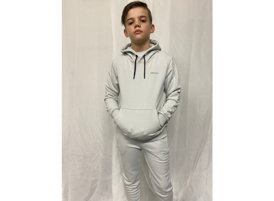 Hoodie Nick Light Grey