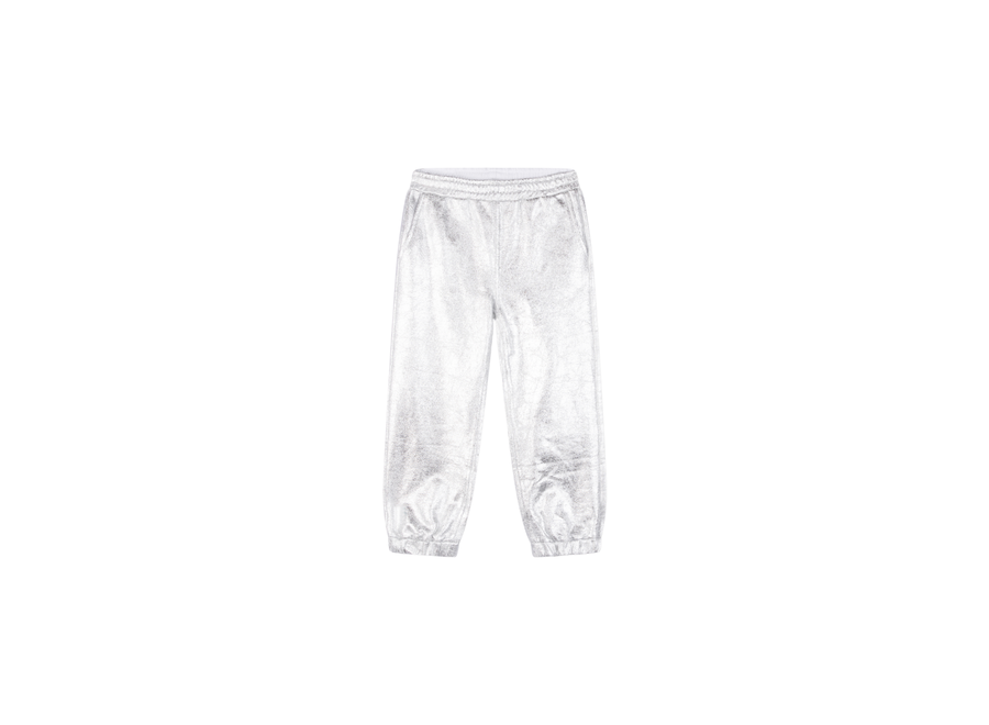 Woven Metallic Pants Silver