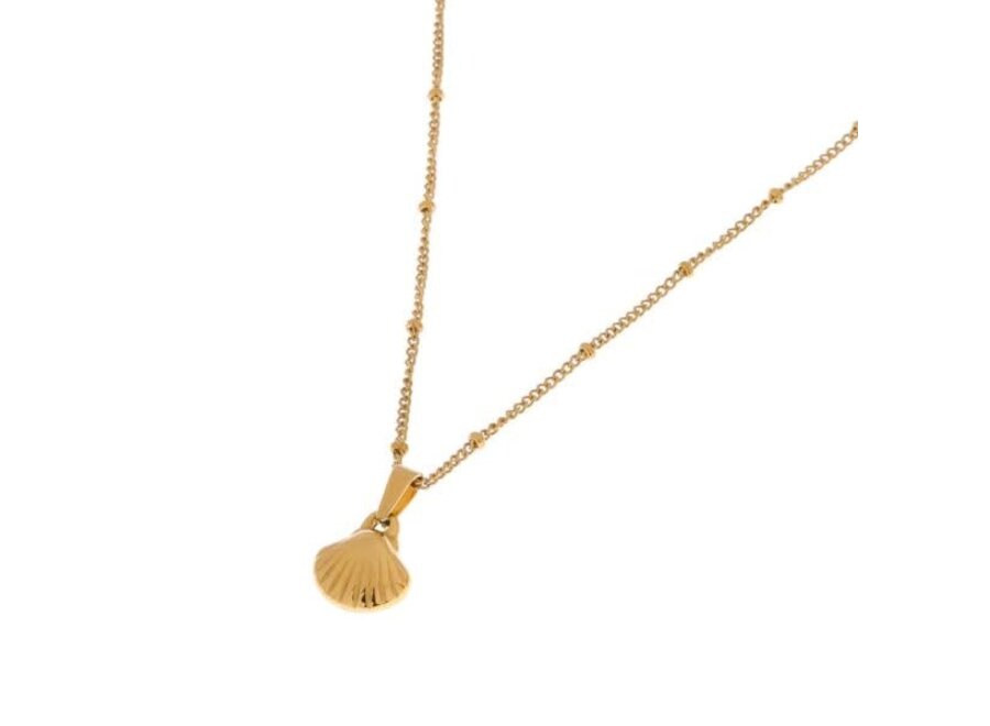 We shell sea necklace gold