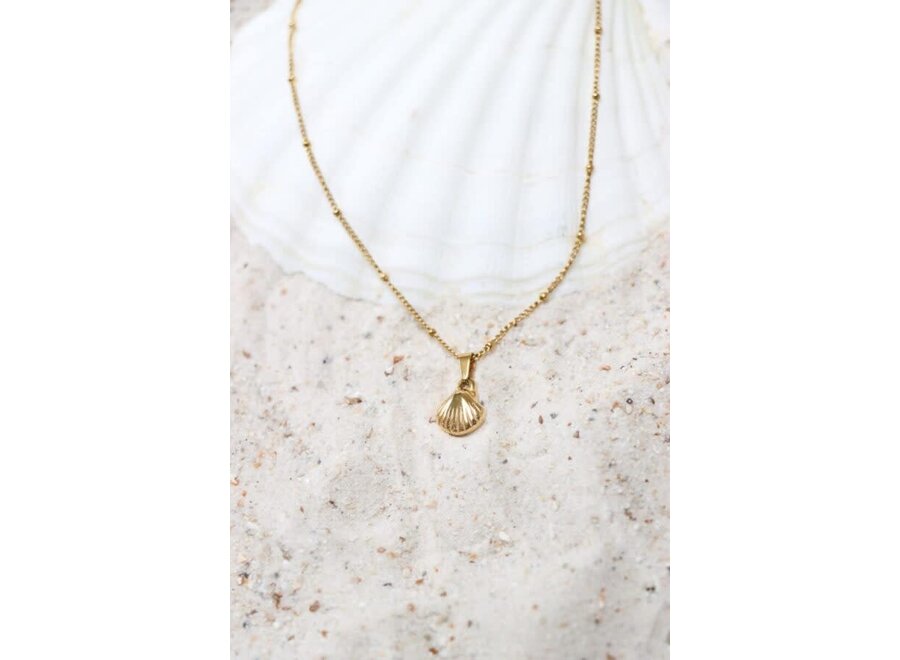 We shell sea necklace gold