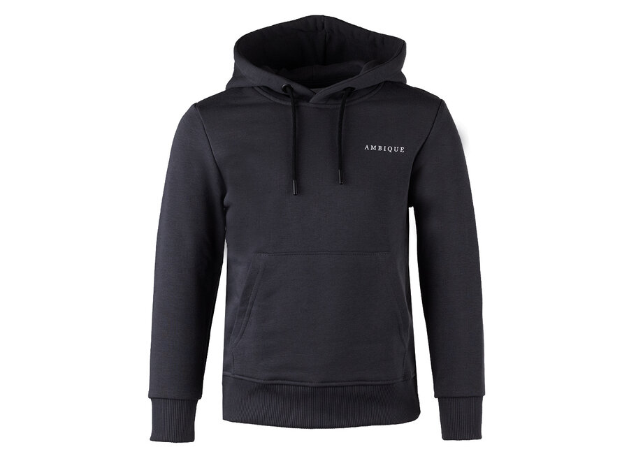 Hoodie Nick Grey