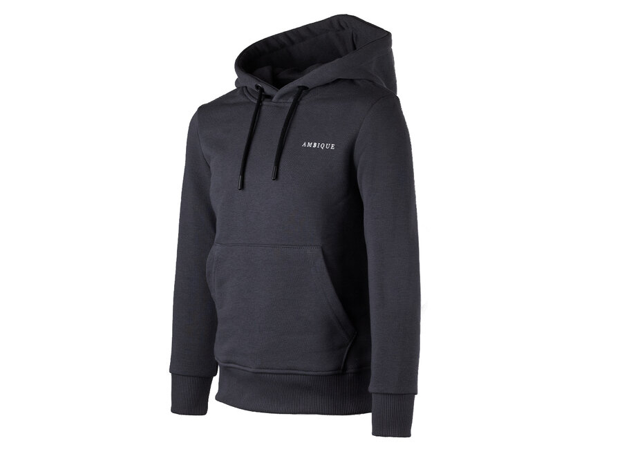 Hoodie Nick Grey