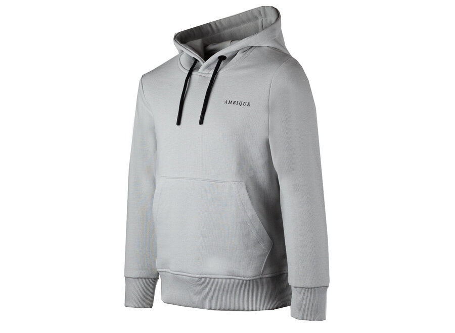 Hoodie Nick Light Grey