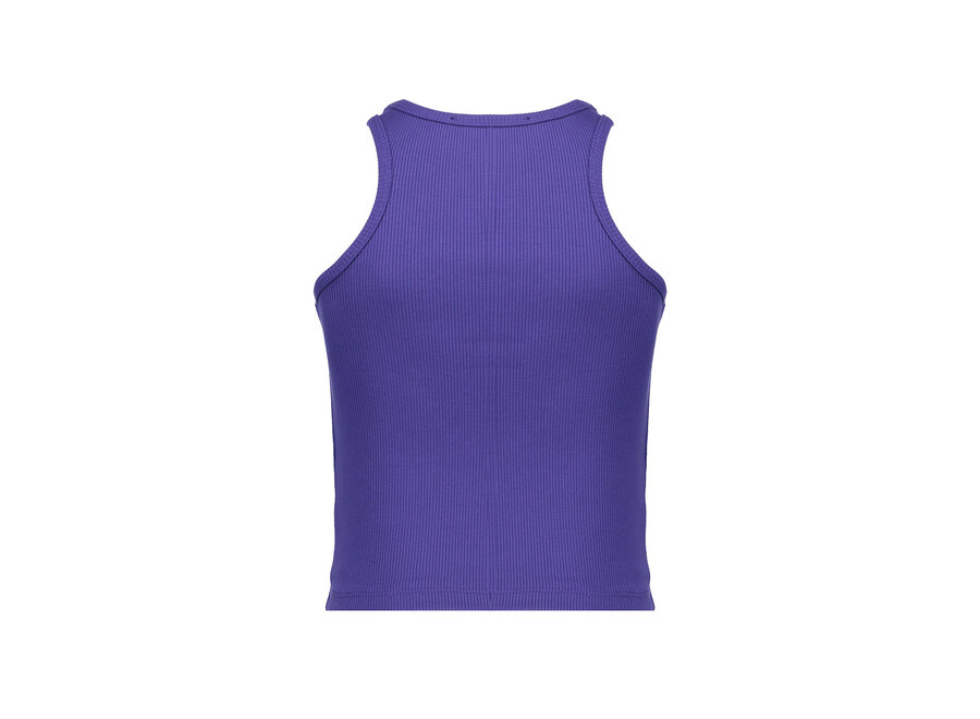 Nicole Top Purple Blue