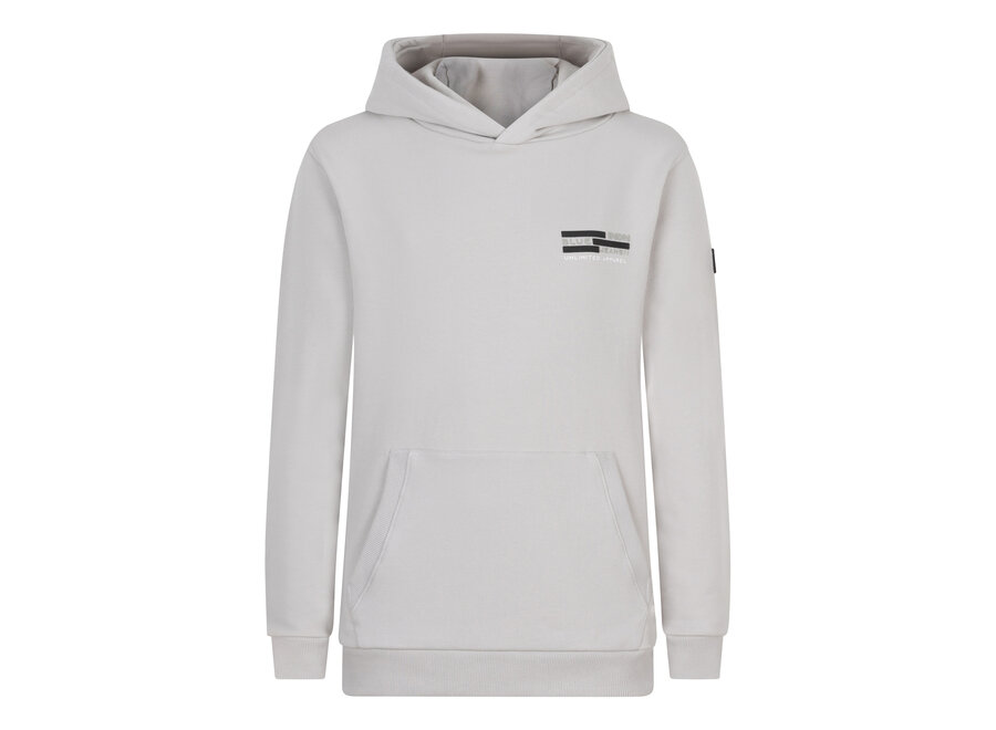 Hoodie Indian Apparel Grey