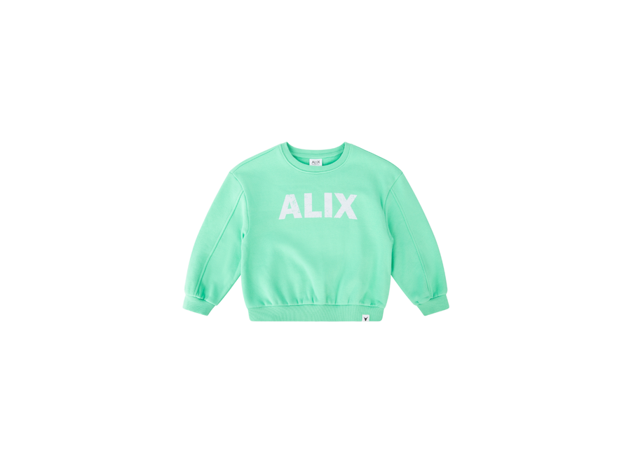 Knitted Alix Sweater 62408887327 724 Light Green Dwarz kinderkleding