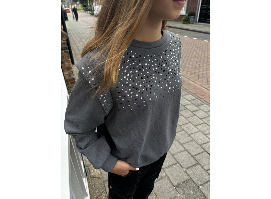 Sweater Carolla Strass Co Magnet