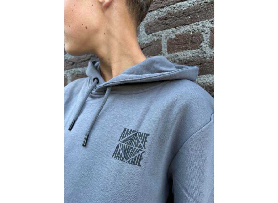 Hoodie Sam Stone grey