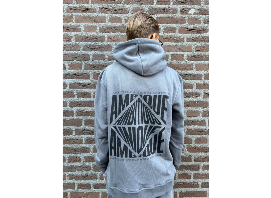 Hoodie Sam Stone grey