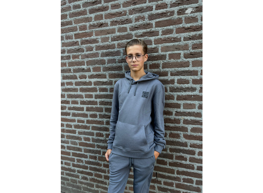 Hoodie Sam Stone grey