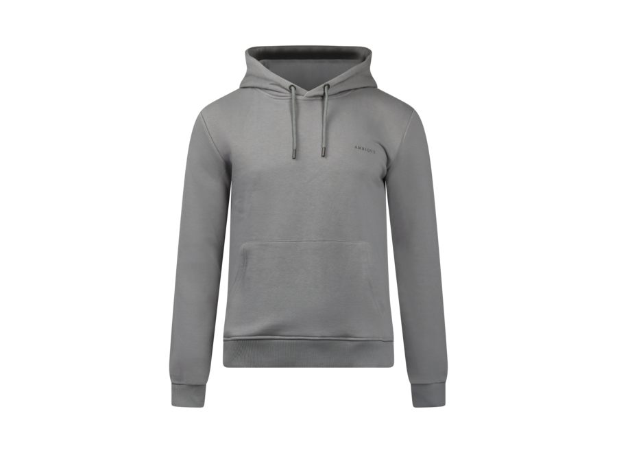 Hoodie Nick Stone grey
