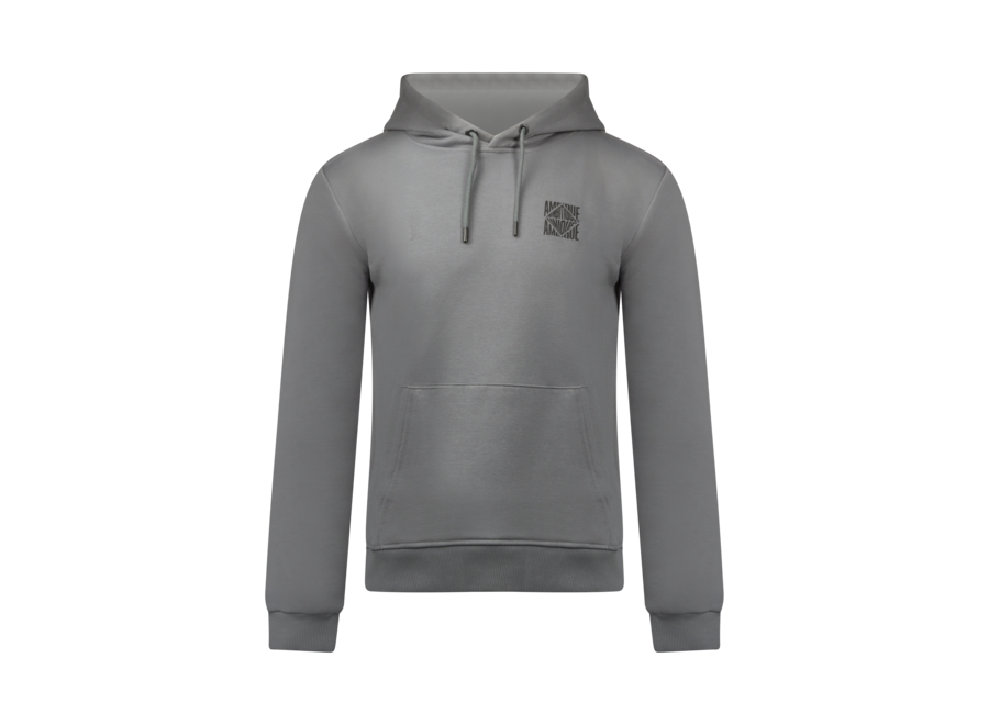Hoodie Sam Stone grey