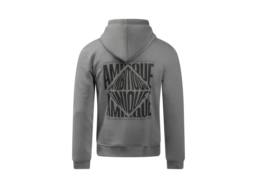 Hoodie Sam Stone grey