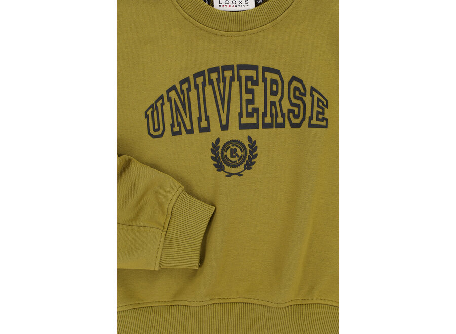 10sixteen Sweater Moss