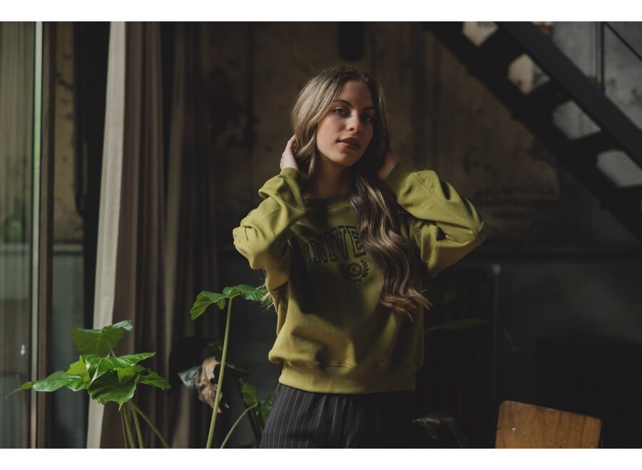 10sixteen Sweater Moss