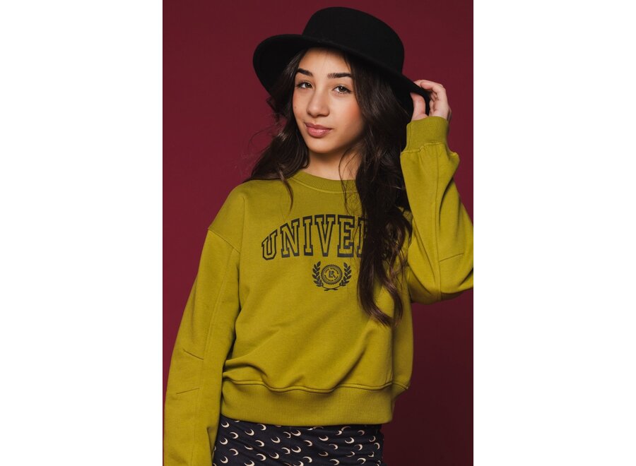 10sixteen Sweater Moss