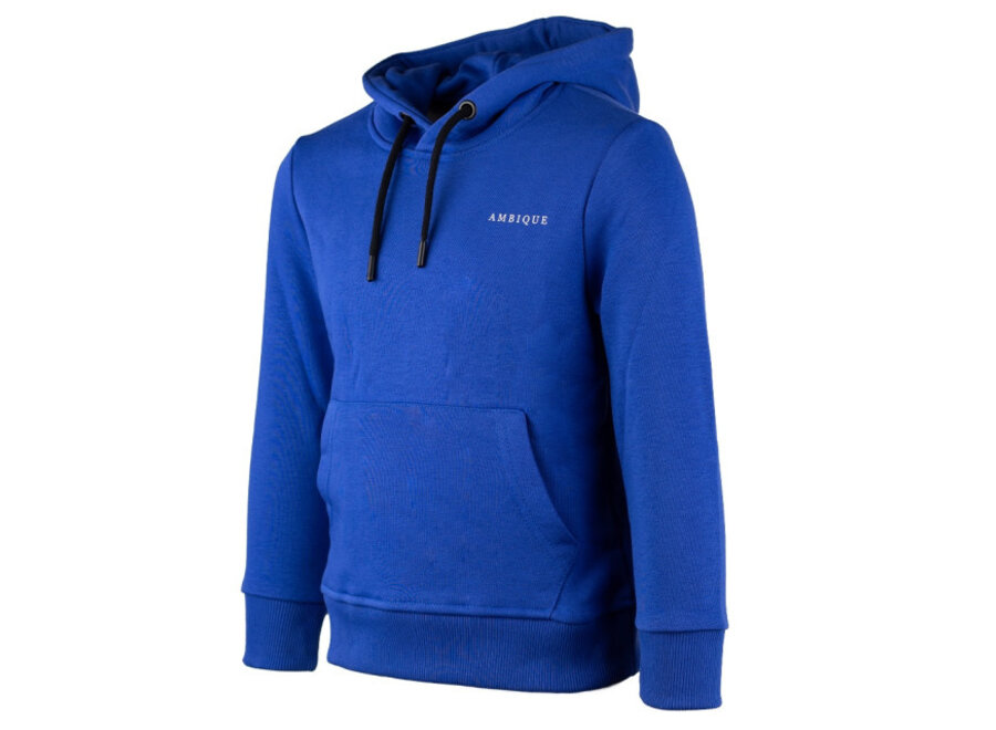 Hoodie Nick Cobalt