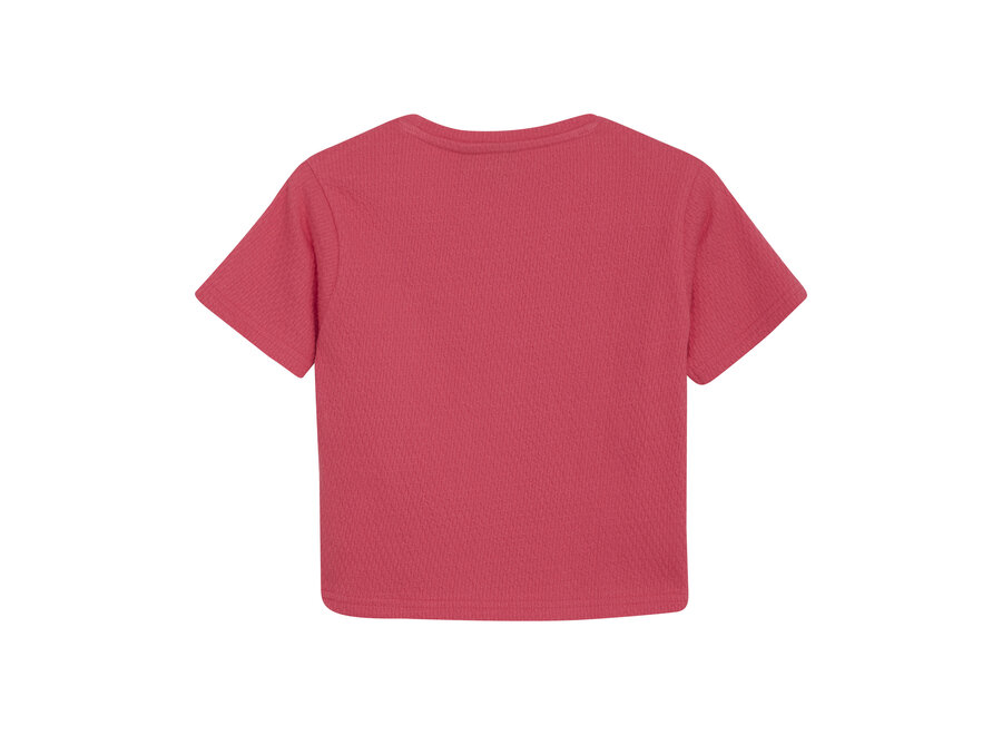 T-shirt Cropped IB Azalea