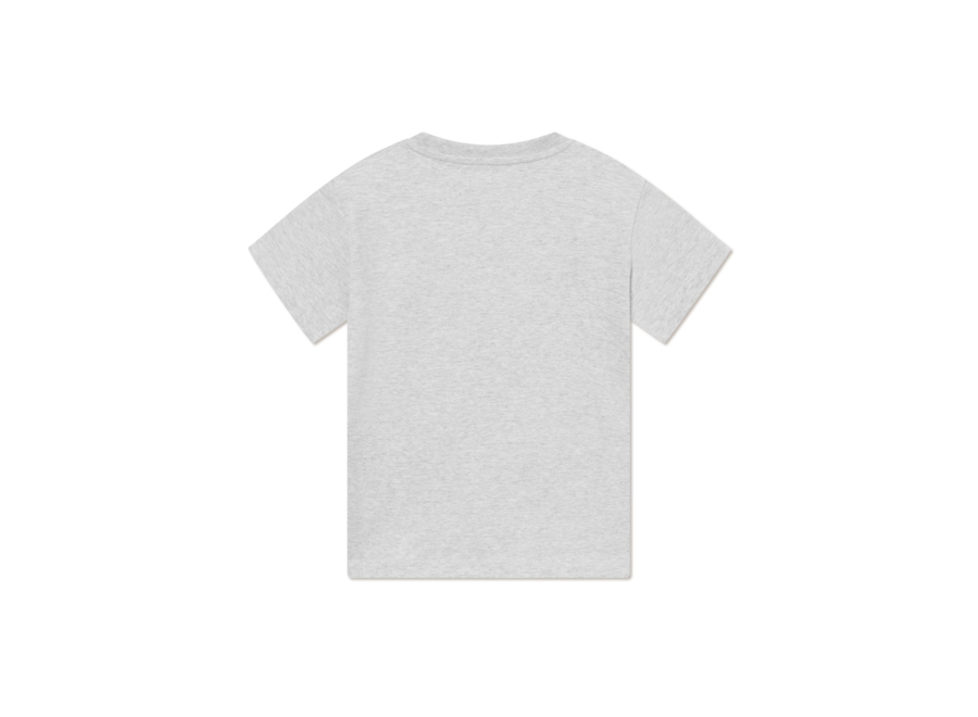 Ivy league T-shirt Snow Melange