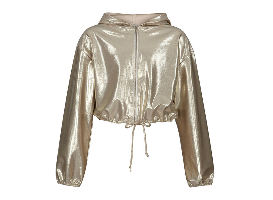 Jacket Holly shiny silver