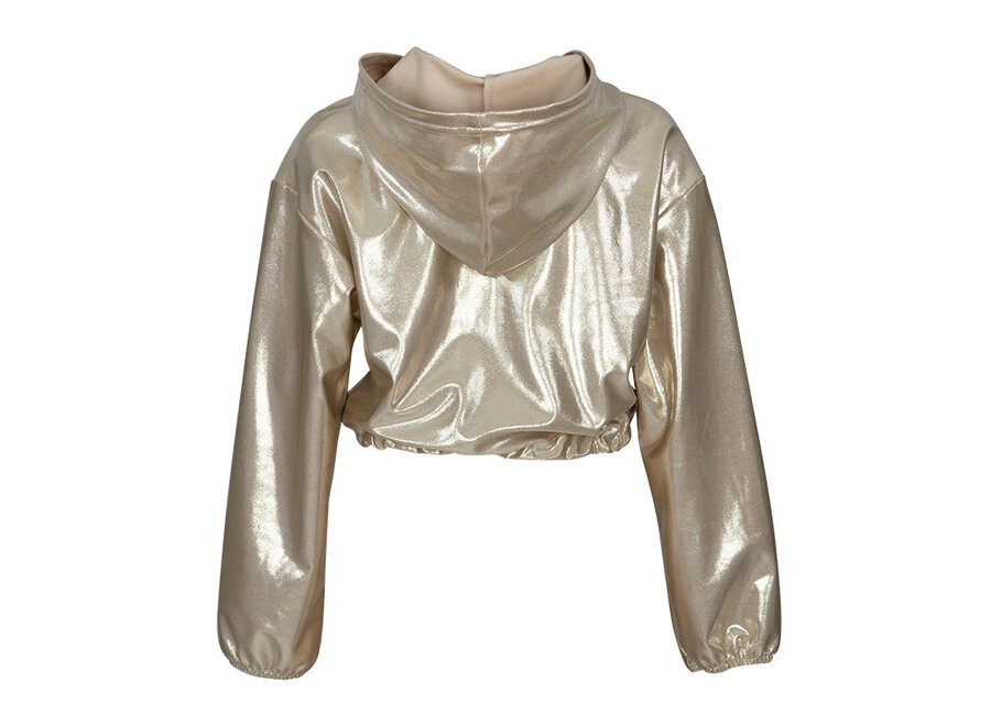 Jacket Holly shiny silver
