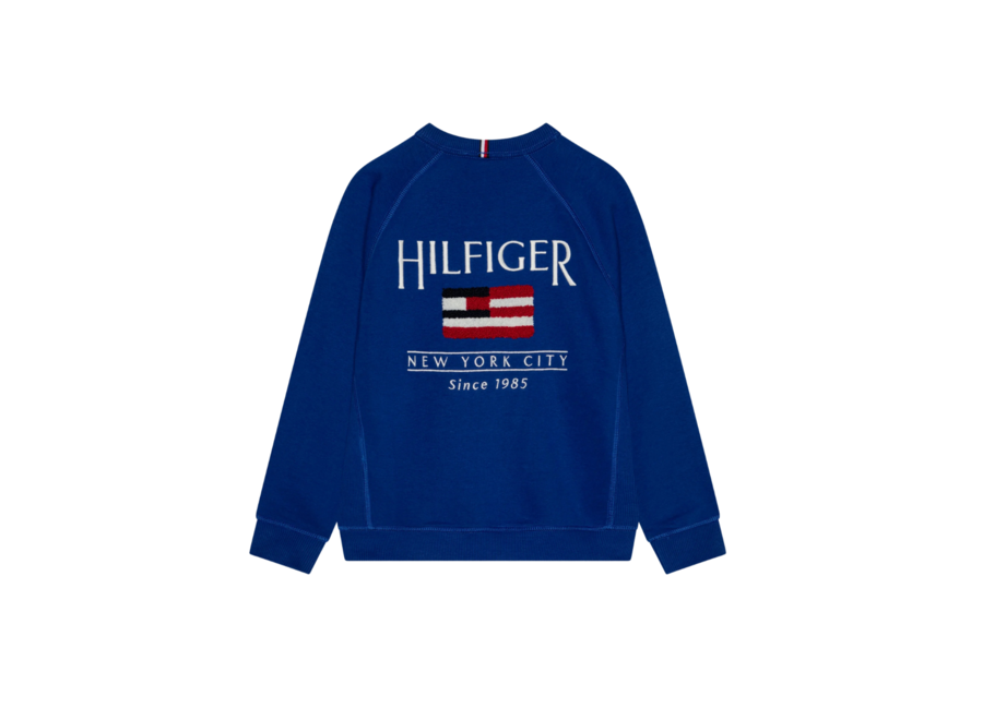 Hilfiger Flag Relaxe   Wedge Blue