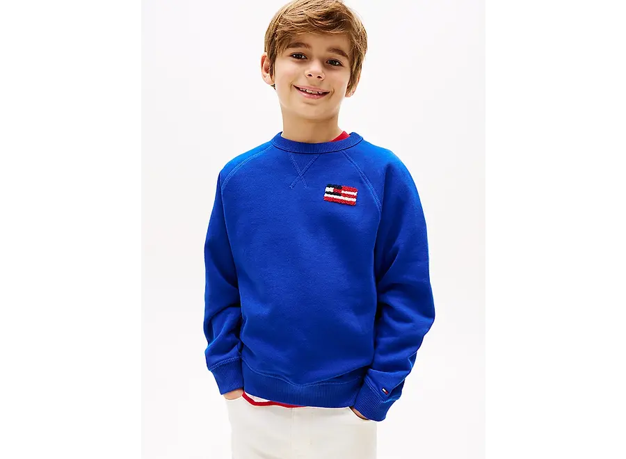 Hilfiger Flag  RelaxeWedge Blue