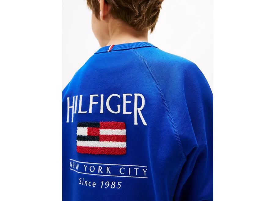 Hilfiger Flag  RelaxeWedge Blue