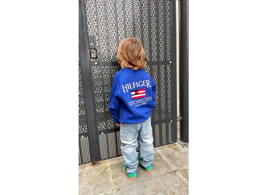 Hilfiger Flag  RelaxeWedge Blue
