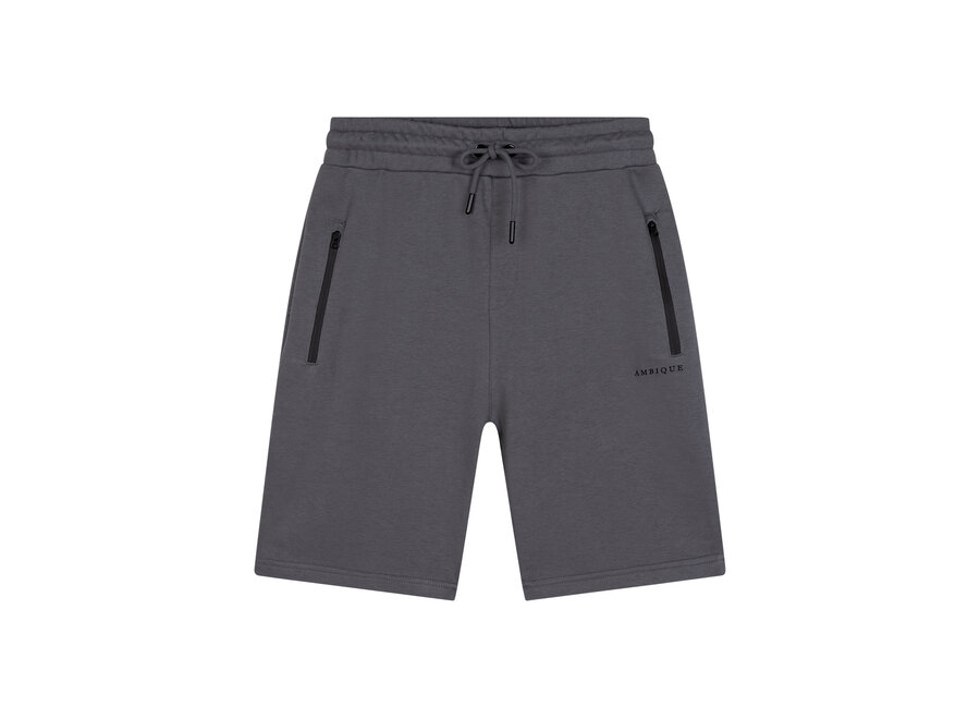 Shorts Scott 111 Stone Grey