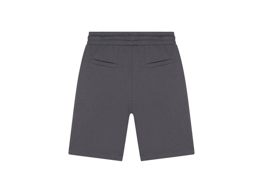 Shorts Scott 111 Stone Grey