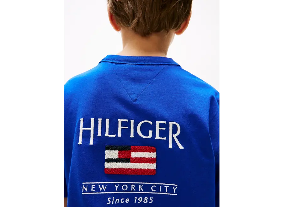 Hilfiger Flag Terry  Wedge Blue