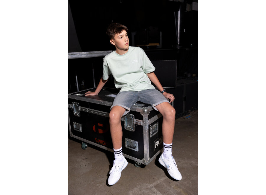 Denim Shorts Grey Used grey Denim