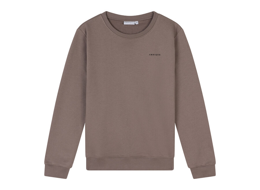 Kris Crew Neck Taupe Jongens Trui