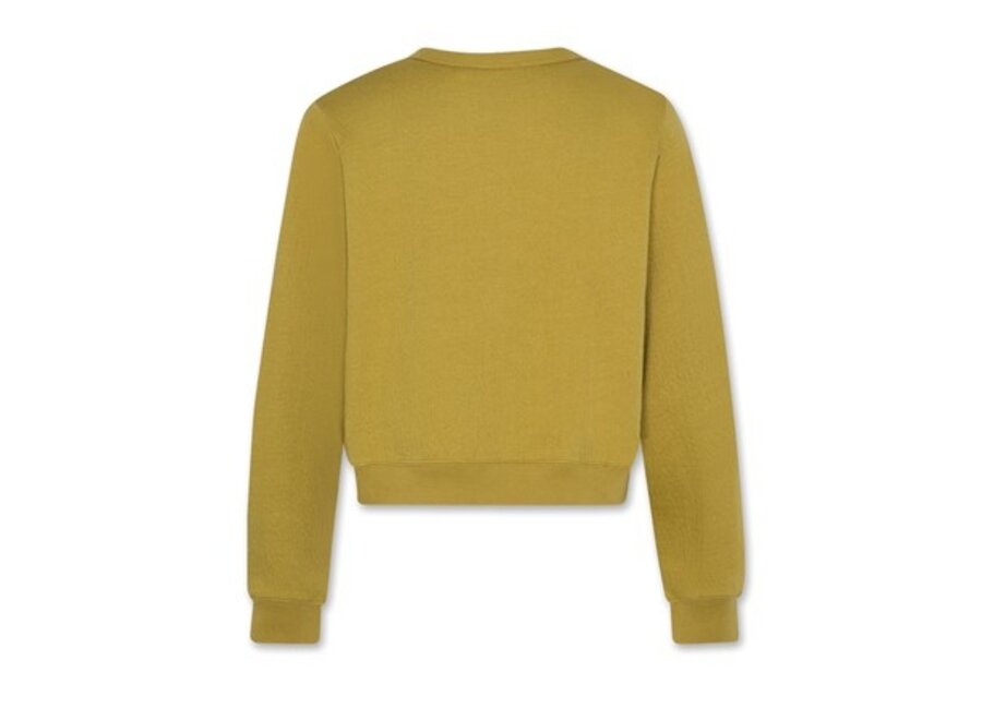 Bea Sweater Willow Green Meisjes Sweater