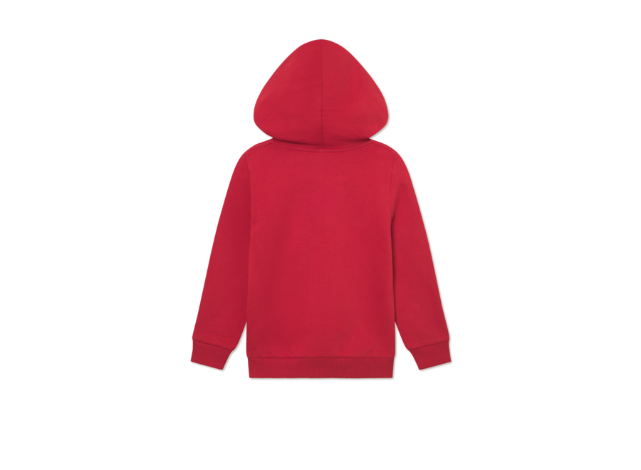 Aidan Hoodie  Scarlet Sage Jongens Hoodie