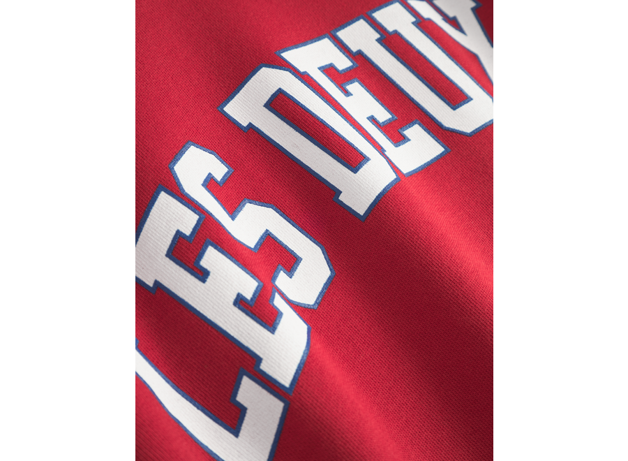 Aidan Hoodie  Scarlet Sage Jongens Hoodie