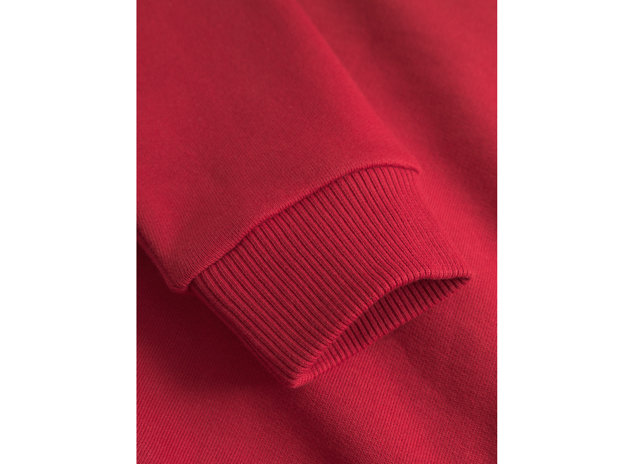 Aidan Hoodie  Scarlet Sage Jongens Hoodie