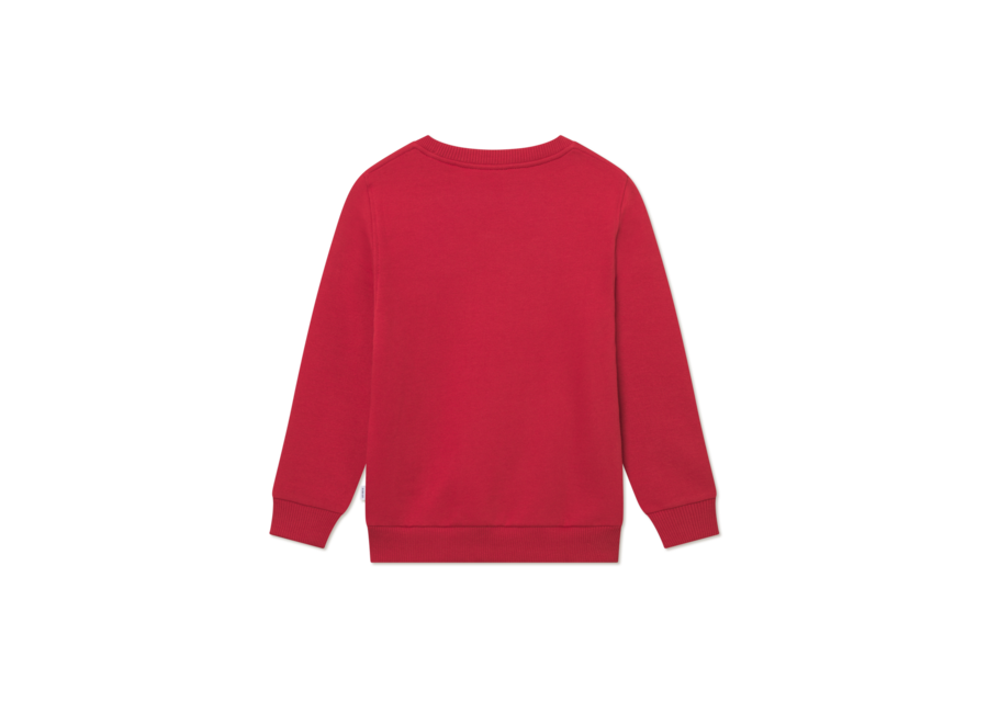 Aidan Sweatshirt   Scarlet Sage Jongens Sweater