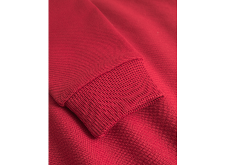 Aidan Sweatshirt   Scarlet Sage Jongens Sweater